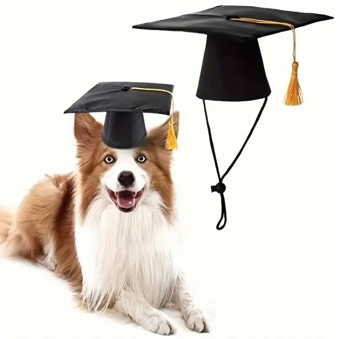 Pet Graduation Cap